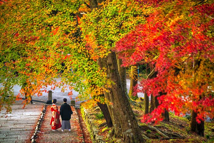 紅葉が美しい秋の結婚式