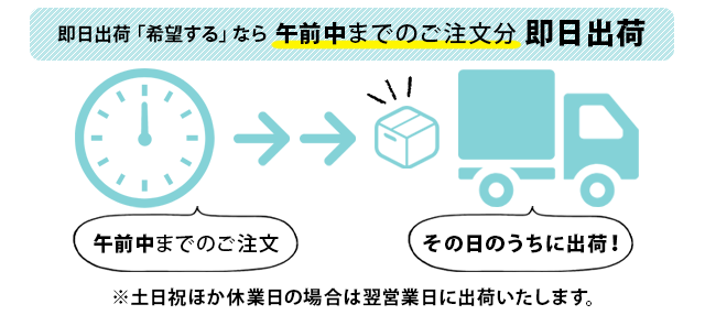 即日出荷インフォグラフィック