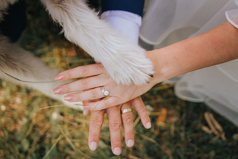 お二人と一緒に愛犬にもサイン